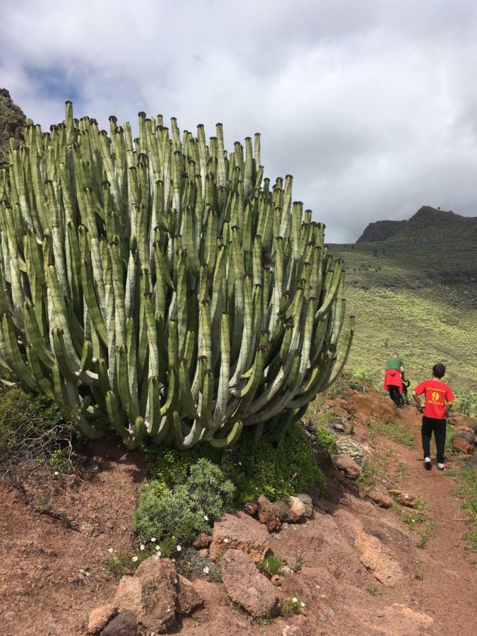 Casa Manel, La Gomera San Sebastián de la Gomera Εξωτερικό φωτογραφία